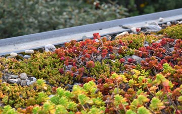 the cost of Pettywell green roof installation